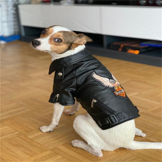 Luxury Leather Dog Coat - Chic And Stylish Pet Outerwear-0