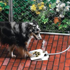 Refreshing Paws Outdoor Dog Water Fountain-0