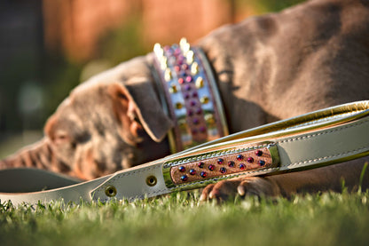 The Candy Dog Collar-3