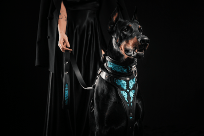 The ''Morelia Python'' harness-4