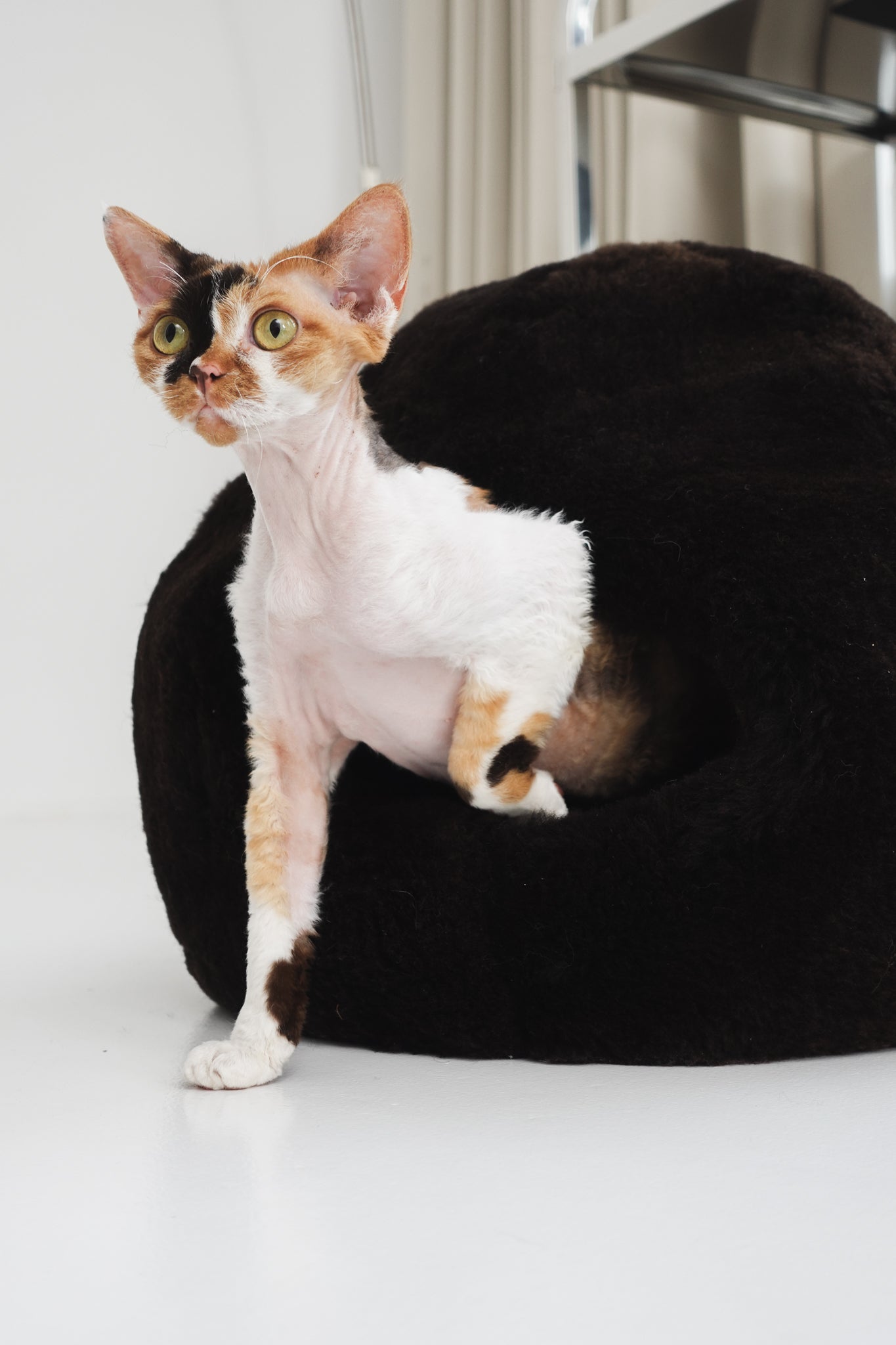 Nest Natural Sheepskin Pet Bed - Brown-3