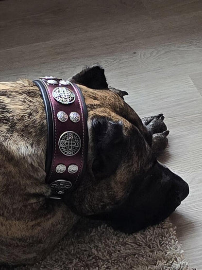The "Hektor" Burgundy Collar LIMITED-4
