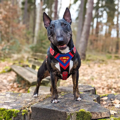 Superdog Harness Medium Size-1