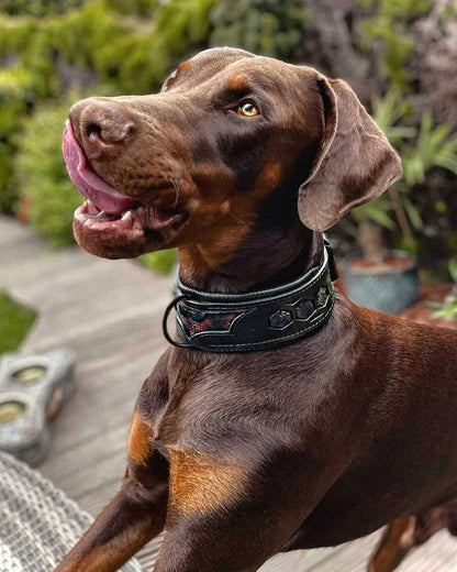 ''BATMAN'' collar-2