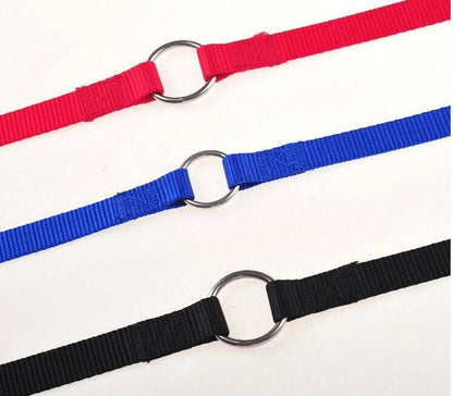 Double Trouble Dog Leash Coupler - Walk Two Dogs With Ease!-4