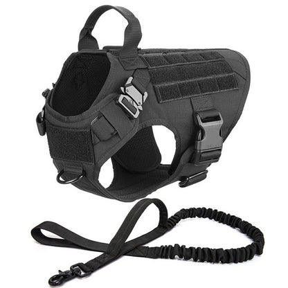 Metal Buckle Tactical Dog Harness & Lead
