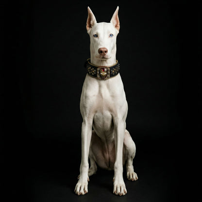 Irondog Collar-2
