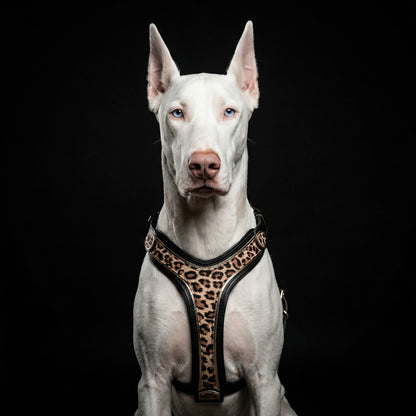 The Leopard Harness-2