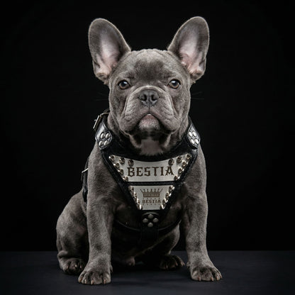 The "Metal" harness small to medium size - Personalized-1