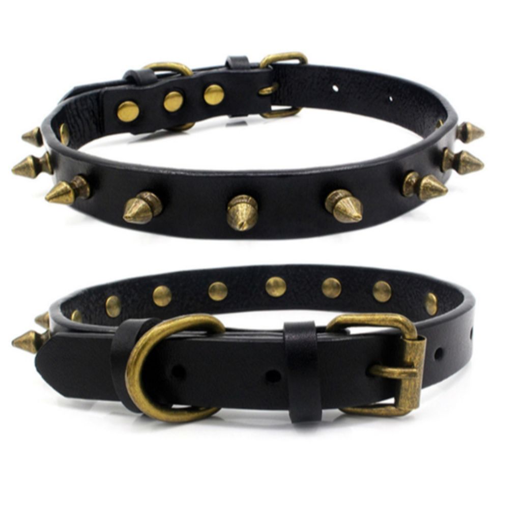 Black Spike Dog Collar - by Doggy Doo Little-0